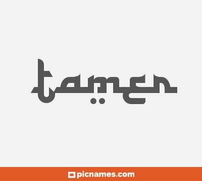 Tamer