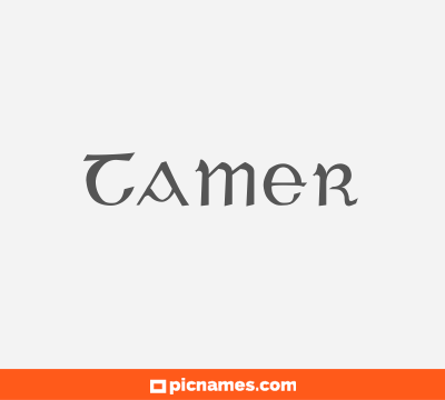 Tamer