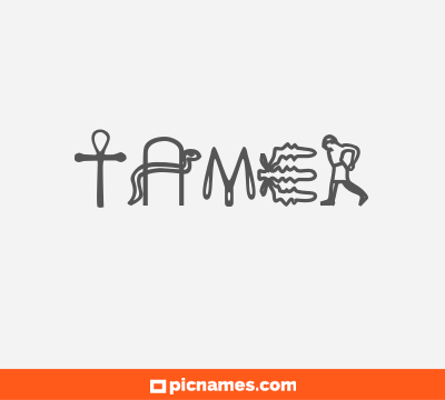 Tamer