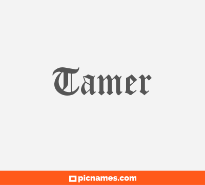 Tamer