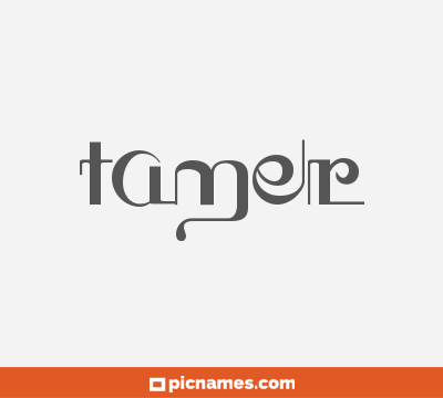 Tamer