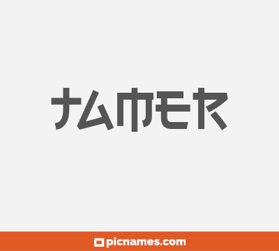 Tamer
