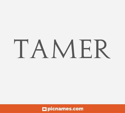Tamer