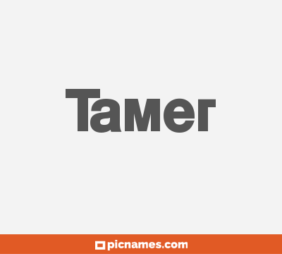 Tamer