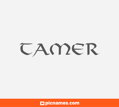 Tamer