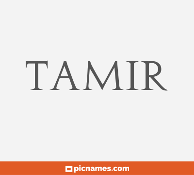 Tamir