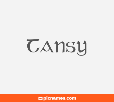 Tansy