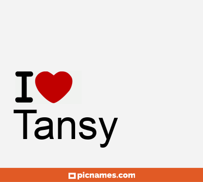 Tansy