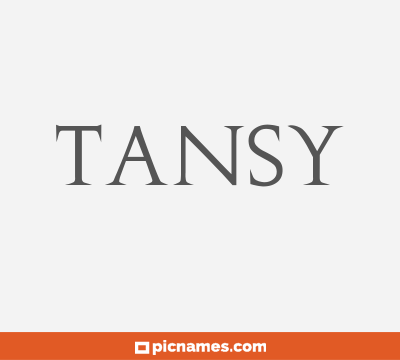 Tansy