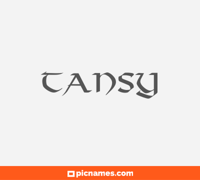Tansy