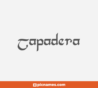 Tapadera