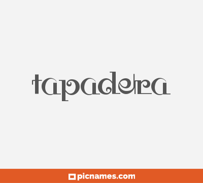 Tapadera