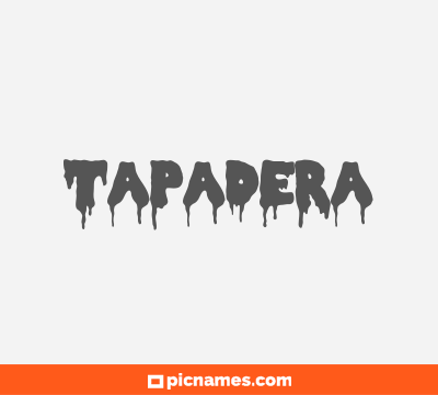 Tapadera