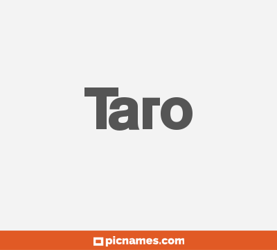 Taro