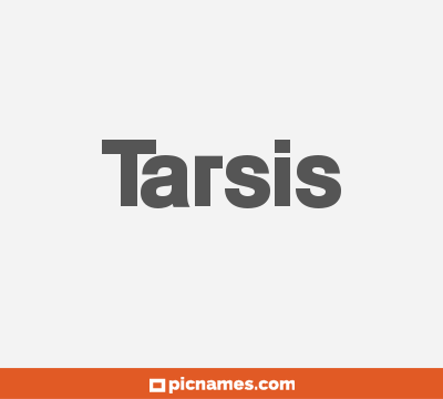 Tarsis