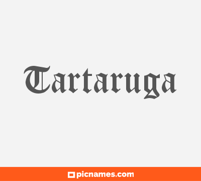 Tartaruga