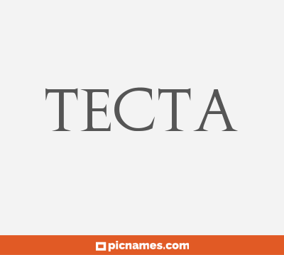 Tecta