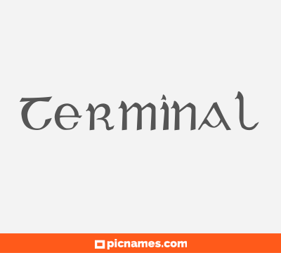 Terminal