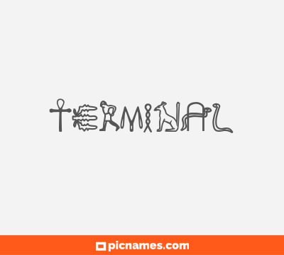 Terminal