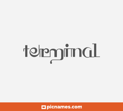 Terminal