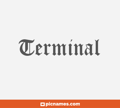 Terminal