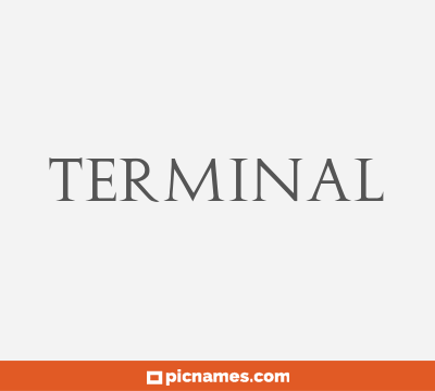 Terminal