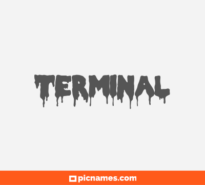 Terminal