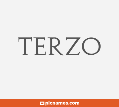 Terzo