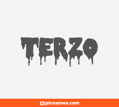 Terzo