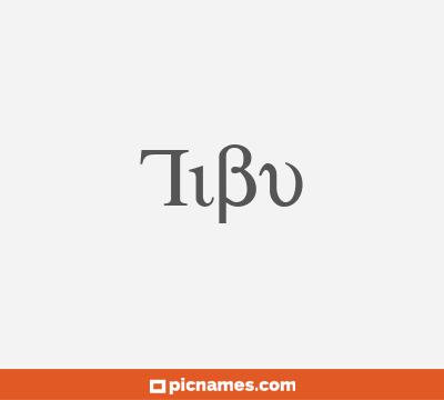 Tibu