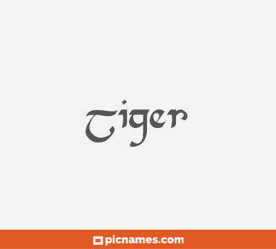 Tiger