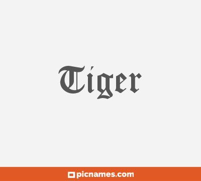 Tiger