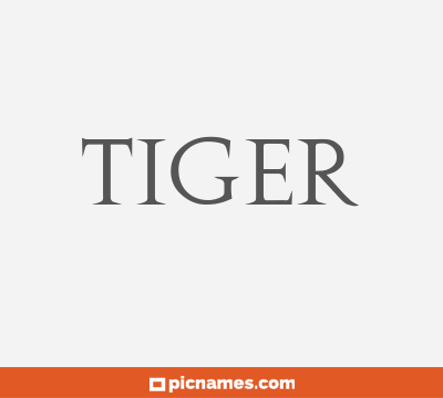 Tiger