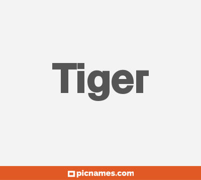 Tiger