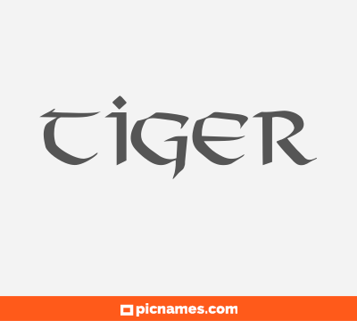 Tiger