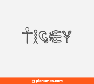 Tigey