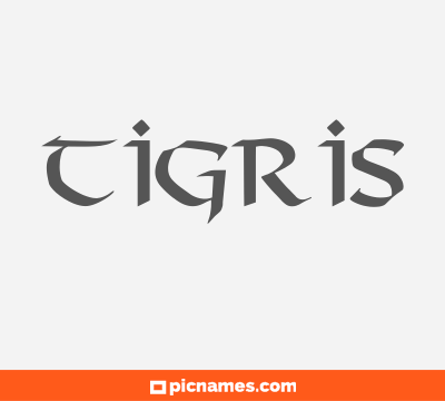 Tigris