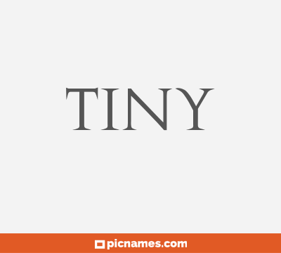 Tiny