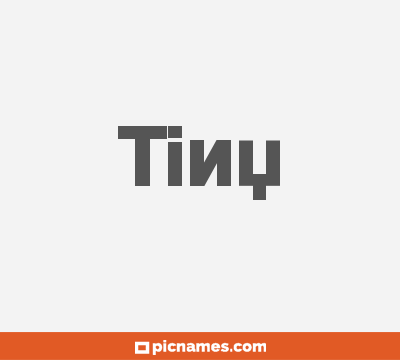 Tiny