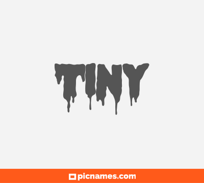 Tiny