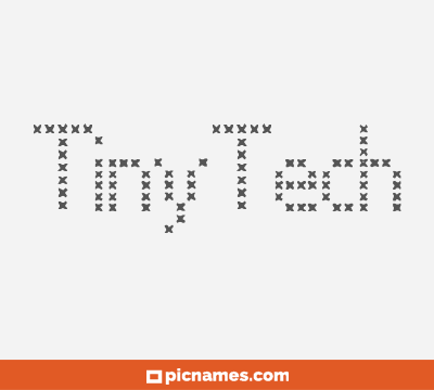 TinyTech