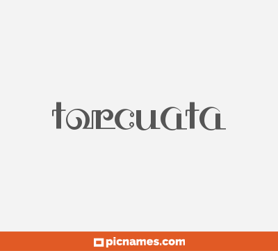 Torcuata