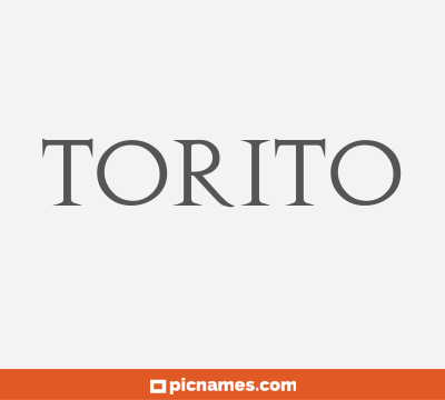 Torito