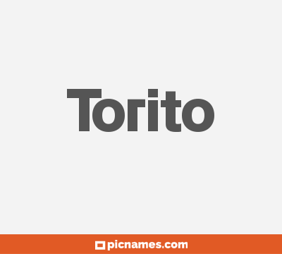 Torito