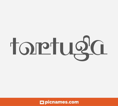 Tortuga