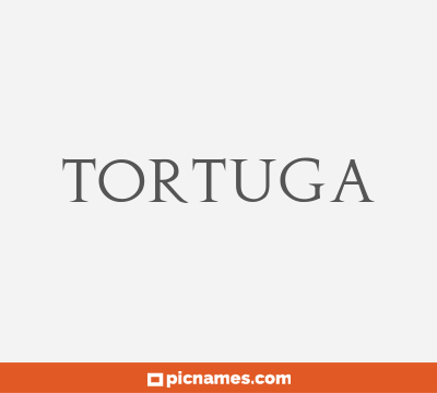 Tortuga