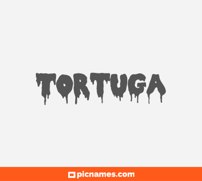 Tortuga