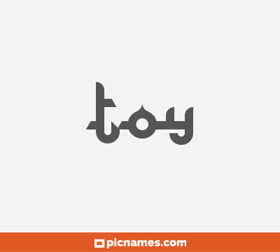 Toy