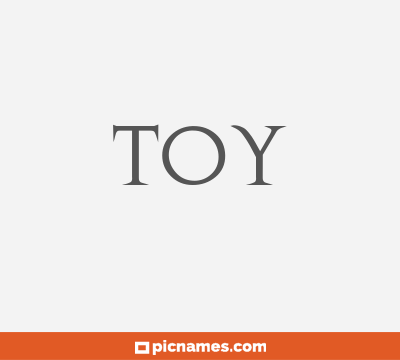 Toy