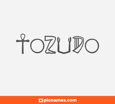 Tozudo